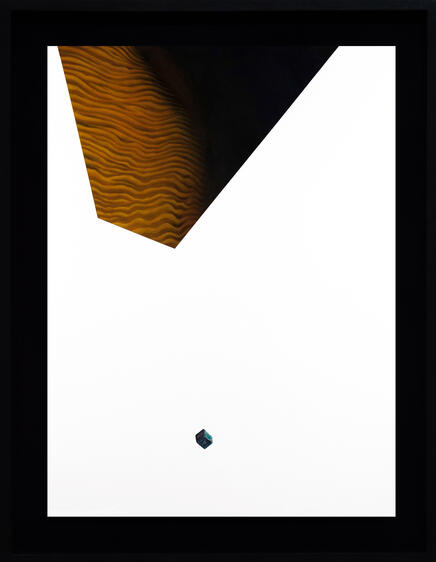 Apollo, Charcoal, chalk pastel and silkscreen on paper, 2021