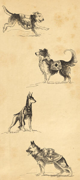 Film still Saint Greaver's "Trench Dogs" animated short film, 2026, digital illustration